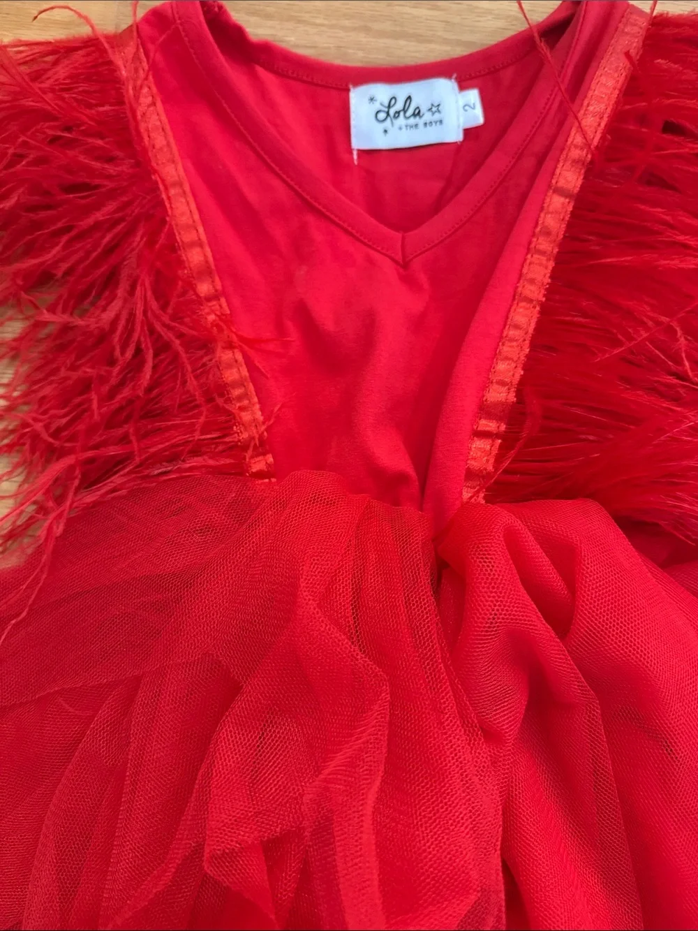 Lola and the Boys Red Feather & Tulle Kids Dress